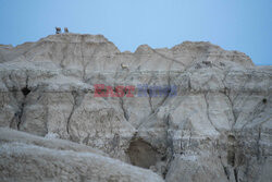 Park Narodowy Badlands w USA - Redux