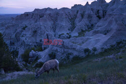 Park Narodowy Badlands w USA - Redux