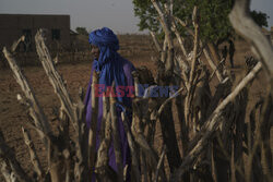 Senegal - AP