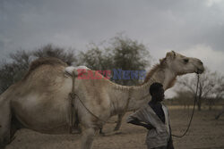 Senegal - AP