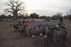 Senegal - AP