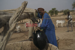 Senegal - AP