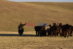 Zmiany klimatyczne w Mongolii - AP