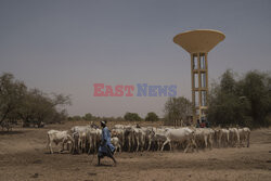 Senegal - AP