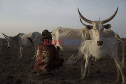 Senegal - AP