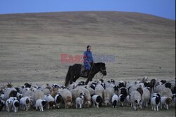 Zmiany klimatyczne w Mongolii - AP