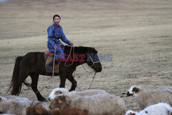 Zmiany klimatyczne w Mongolii - AP