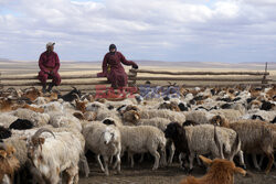 Zmiany klimatyczne w Mongolii - AP