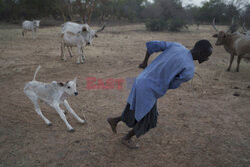 Senegal - AP