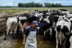 Rolnictwo w Argentynie - AFP