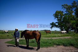 Rolnictwo w Argentynie - AFP