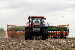 Rolnictwo w Argentynie - AFP