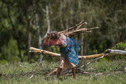 Kenijskie plemię Samburu - Abaca