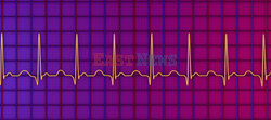 SPL RF Oct 2023