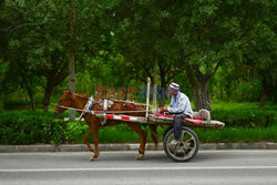 Region Sinciang w Chinach - AFP