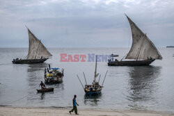 Zanzibar, Tanzania - Abaca