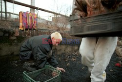 Reporter Poland 2002