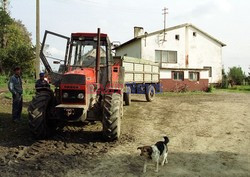 Reporter Poland 2002