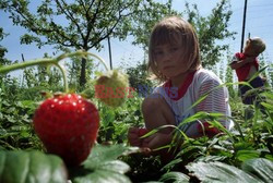 Reporter Poland 2002