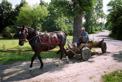 Reporter Poland 2002