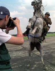 Reporter Poland 2002