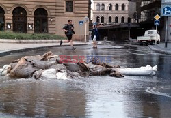 Reporter Poland 2002