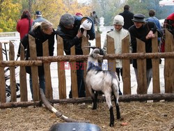 Reporter Poland 2002