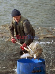 Reporter Poland 2002