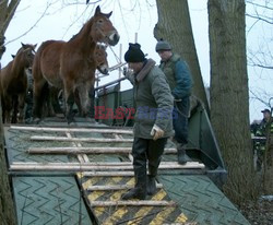 Reporter Poland 2002