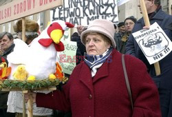 Reporter Poland 2002