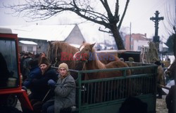 Reporter Poland 2002