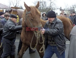 Reporter Poland 2002