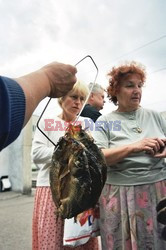 Reporter Poland 2003