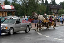 Reporter Poland 2003