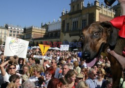 Reporter Poland 2003