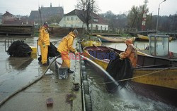 Reporter Poland 2003