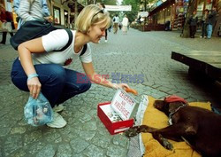 Reporter Poland 2003