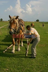 Reporter Poland 2004