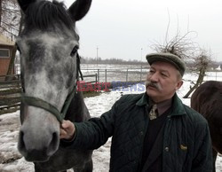 Reporter Poland 2004