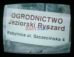 Reporter Poland 2005