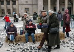 Reporter Poland 2005