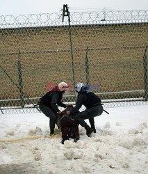 Reporter Poland 2005