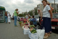 Reporter Poland 2006