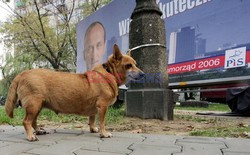 Reporter Poland 2006