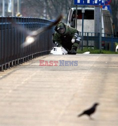 Reporter Poland 2006