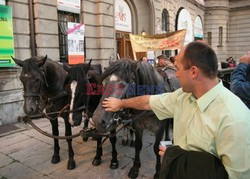 Reporter Poland 2007