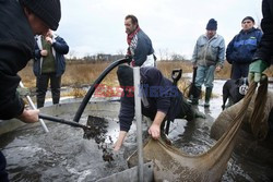 Reporter Poland 2008