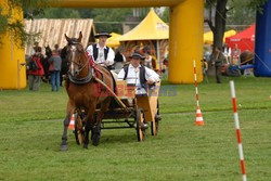 Reporter Poland 2007