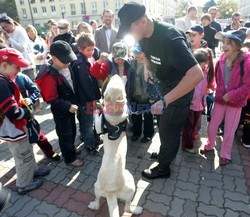 Reporter Poland 2007