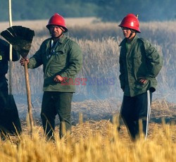 Reporter Poland 2008